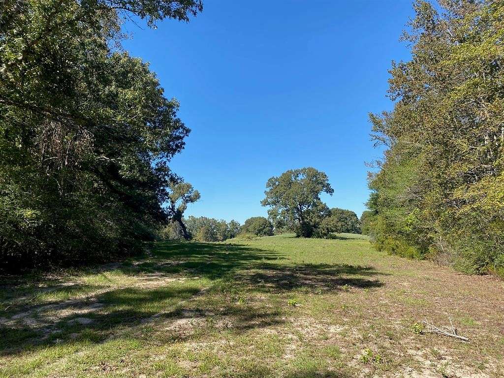 11.6 Acres of Land for Sale in Oakwood, Texas
