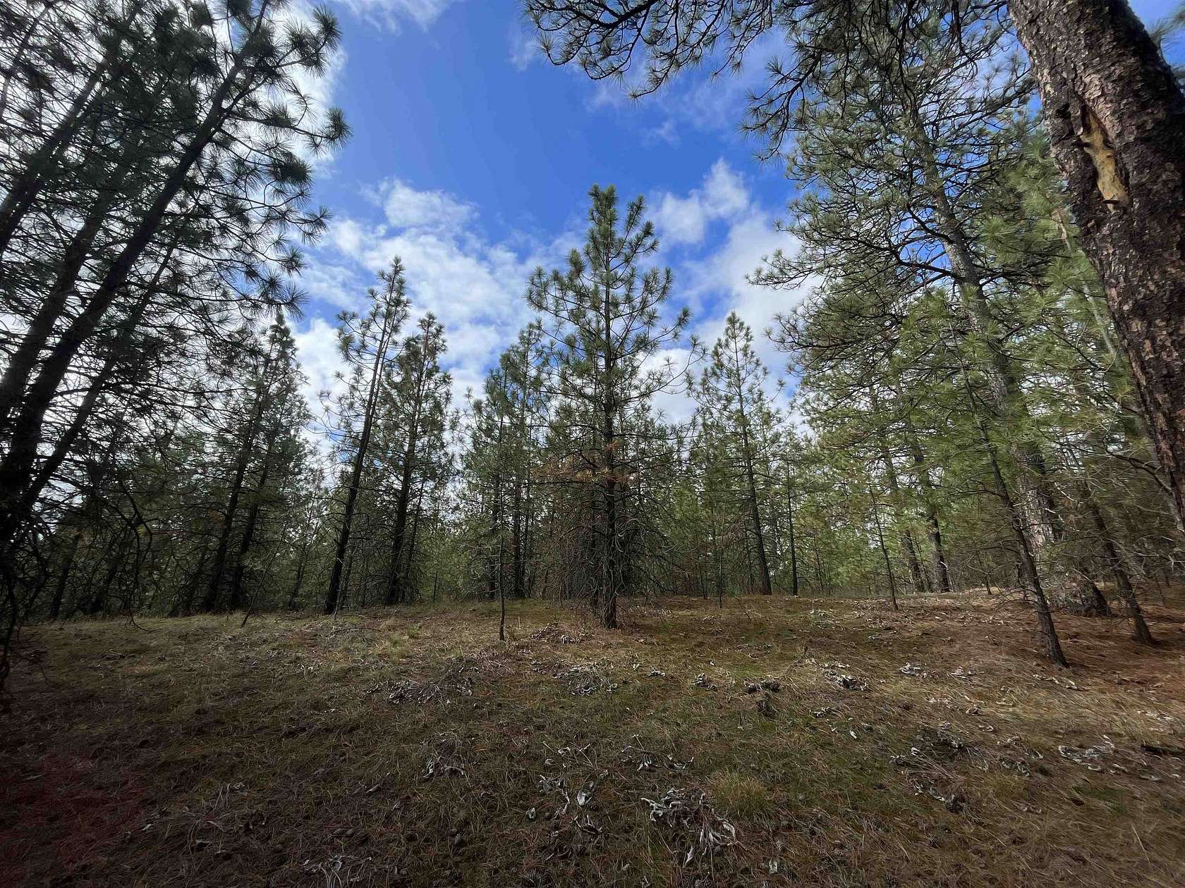 31 Acres of Recreational Land for Sale in Spokane, Washington