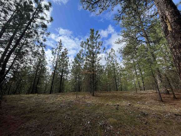 31 Acres of Land for Sale in Spokane, Washington
