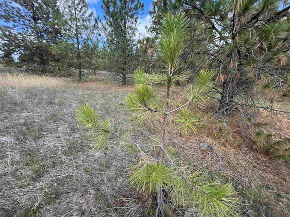 31 Acres of Recreational Land for Sale in Spokane, Washington