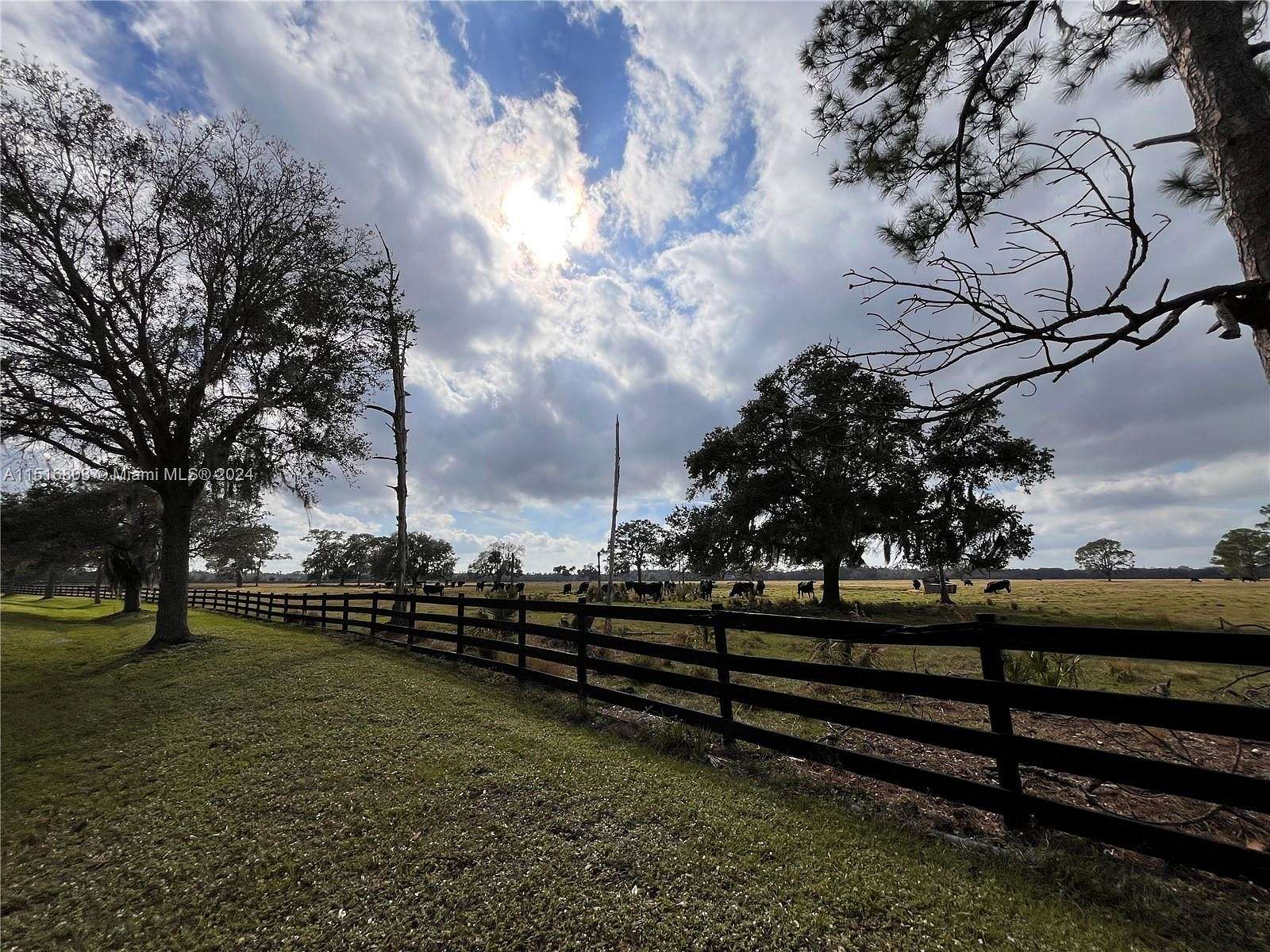 20 Acres of Land for Sale in Okeechobee, Florida