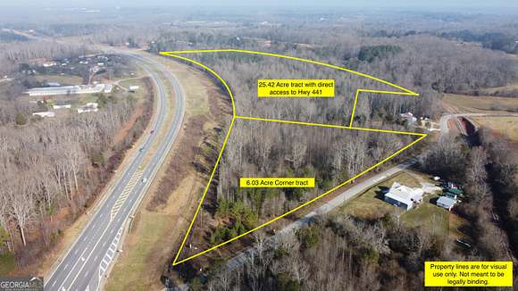 31.5 Acres of Commercial Land for Sale in Nicholson, Georgia
