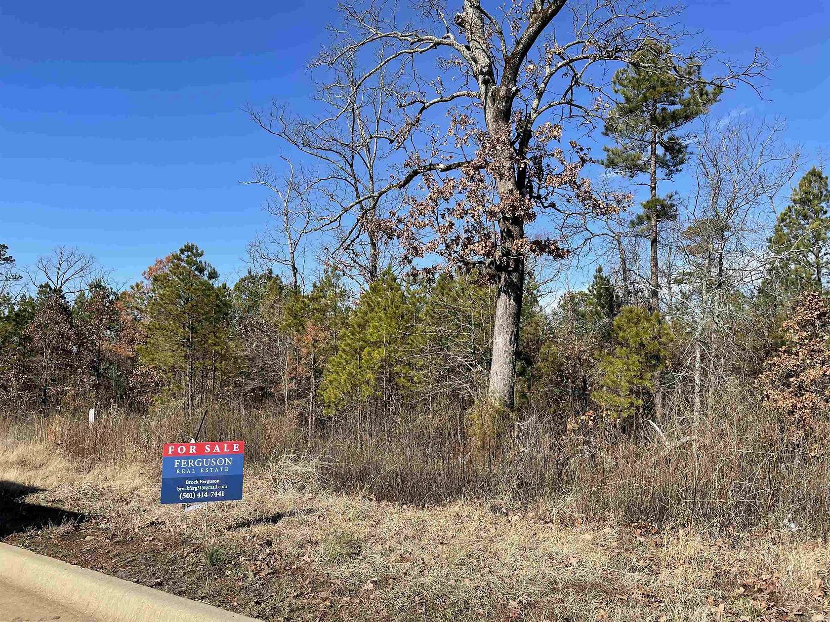 0.82 Acres of Residential Land for Sale in Roland, Arkansas