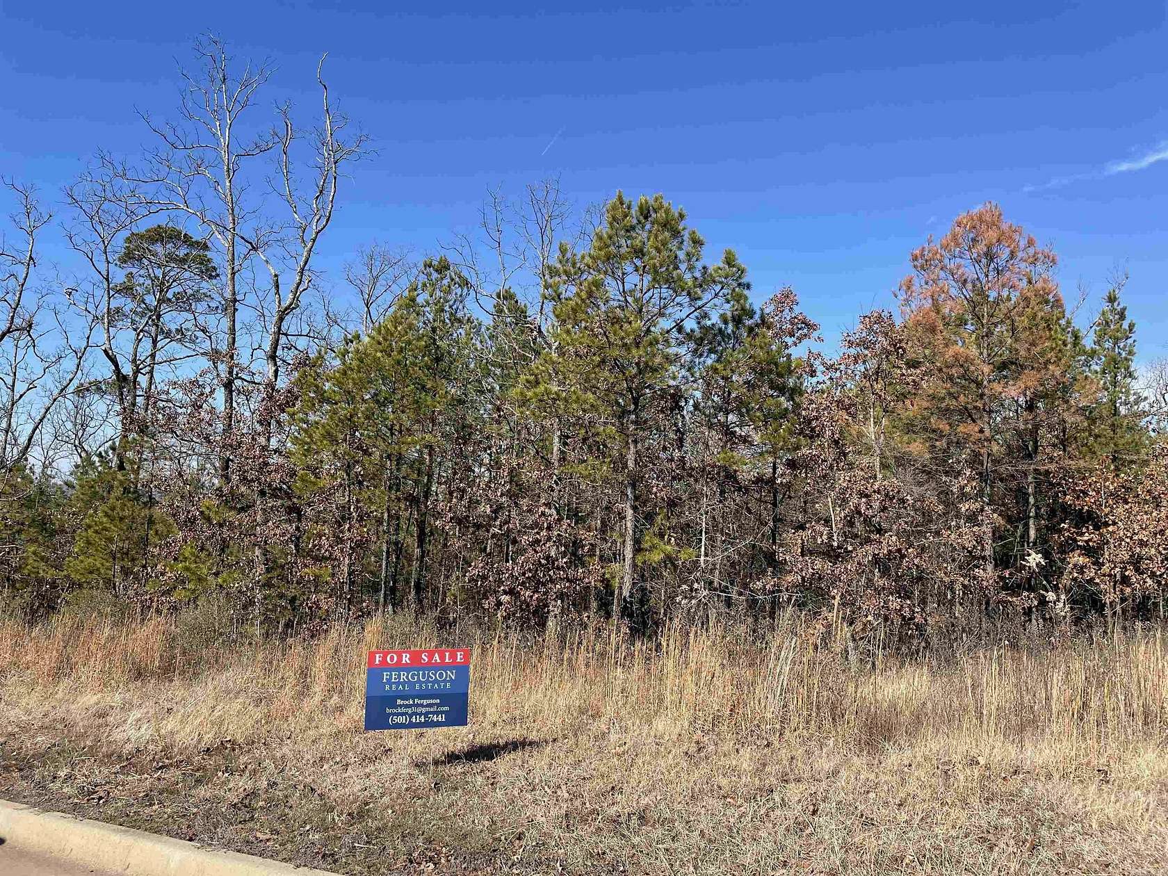 0.82 Acres of Residential Land for Sale in Roland, Arkansas