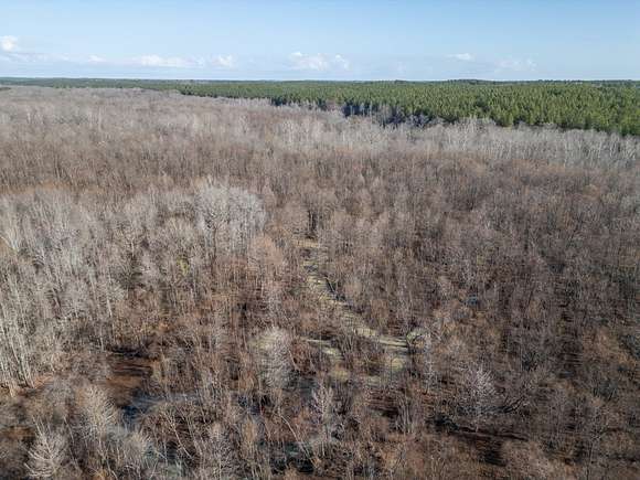 822 Acres of Recreational Land & Farm for Sale in Kilmichael, Mississippi