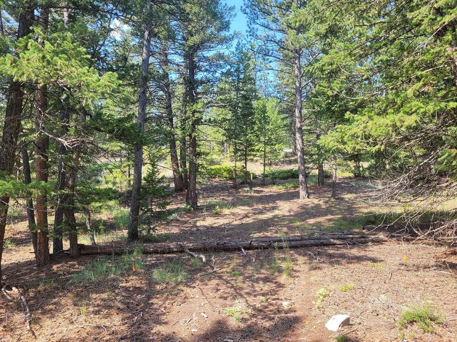 0.18 Acres of Land for Sale in Red Feather Lakes, Colorado