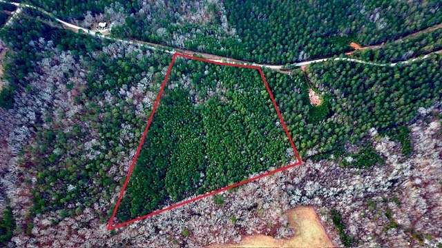 14 Acres of Land for Sale in Waco, Georgia