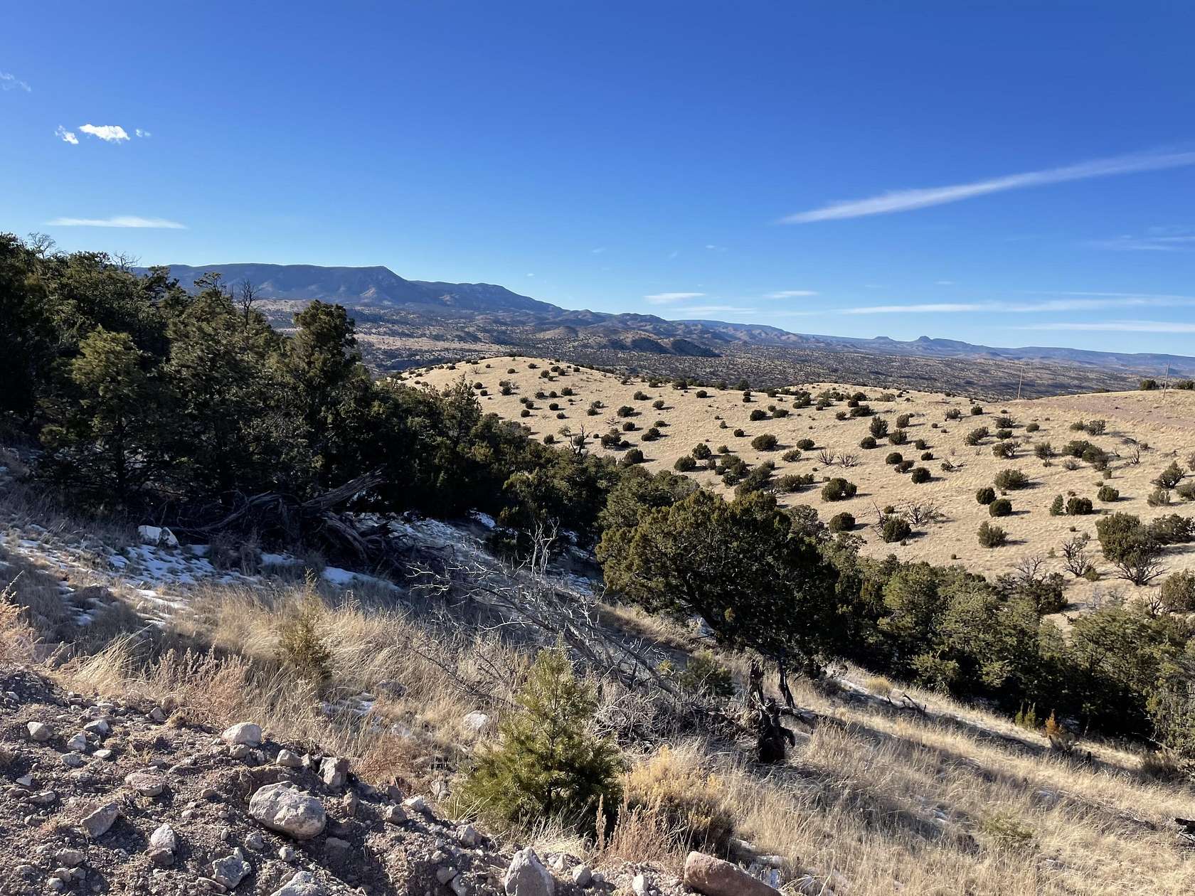 40 Acres of Land for Sale in Magdalena, New Mexico