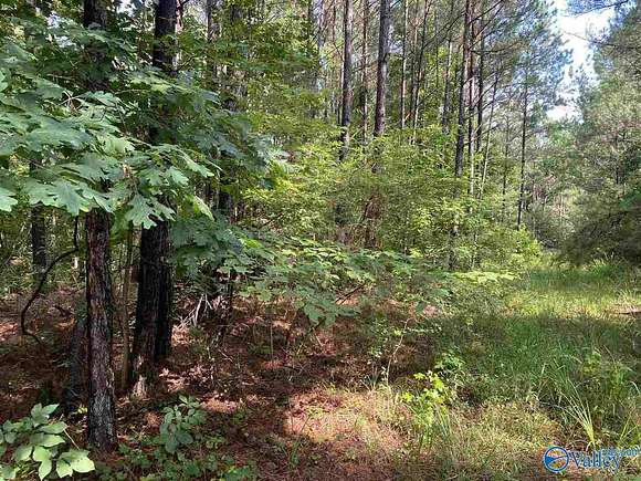 119 Acres of Land for Sale in Hamilton, Alabama