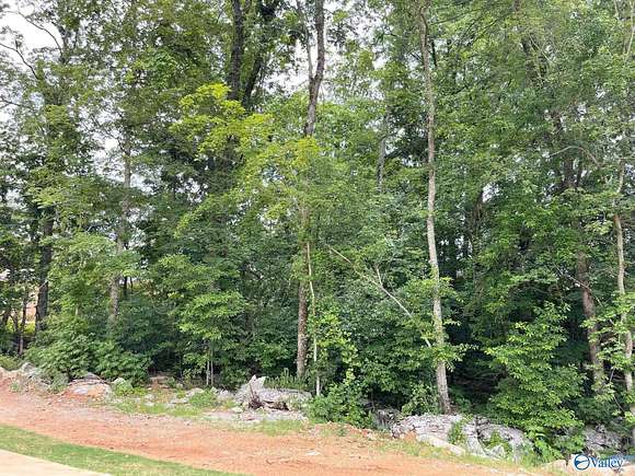 0.46 Acres of Residential Land for Sale in Brownsboro, Alabama