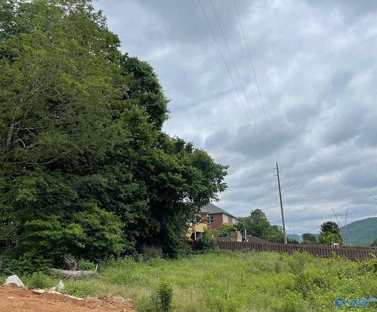 0.46 Acres of Residential Land for Sale in Brownsboro, Alabama