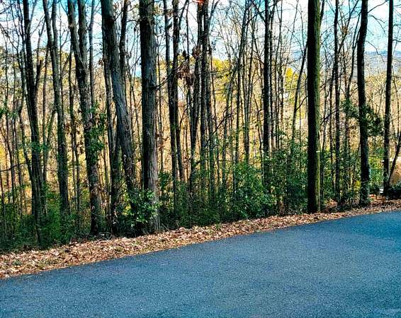 0.46 Acres of Land for Sale in Guntersville, Alabama