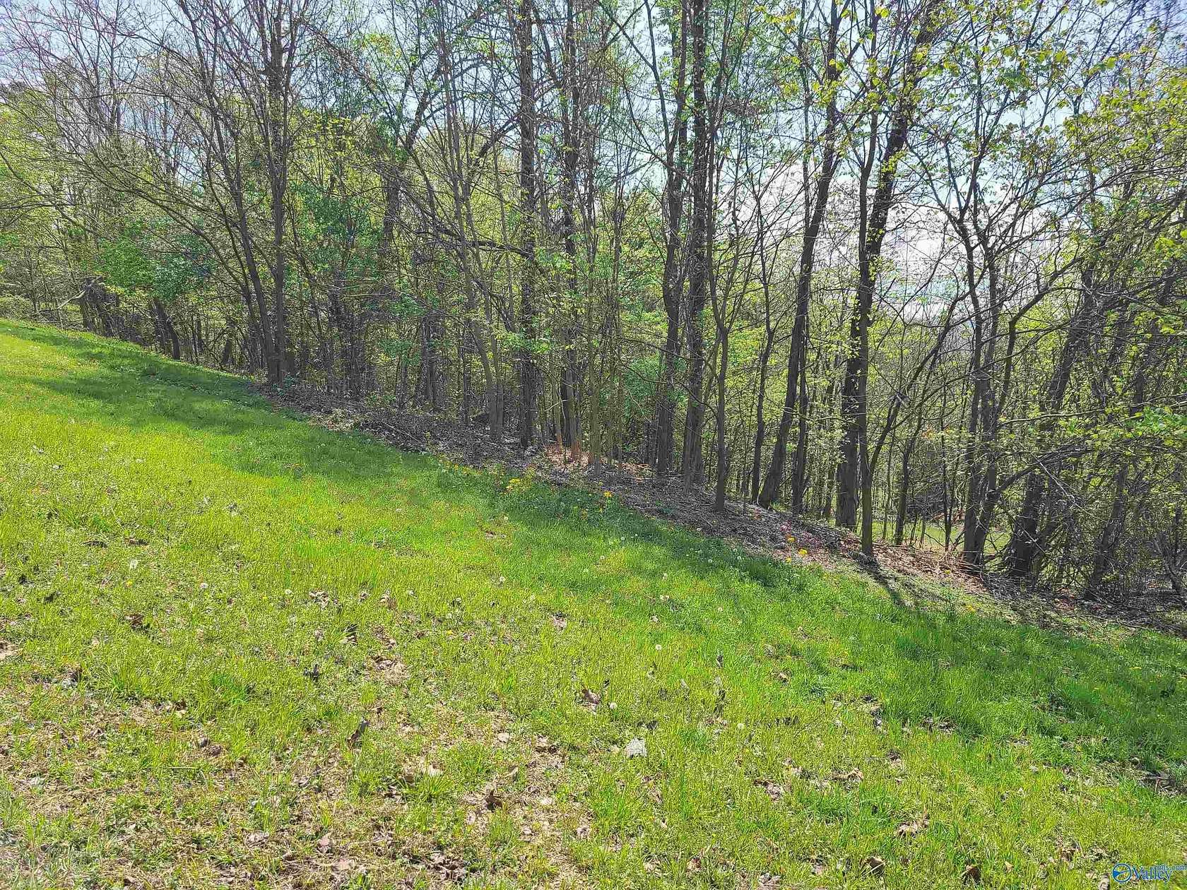 1.24 Acres of Land for Sale in Scottsboro, Alabama