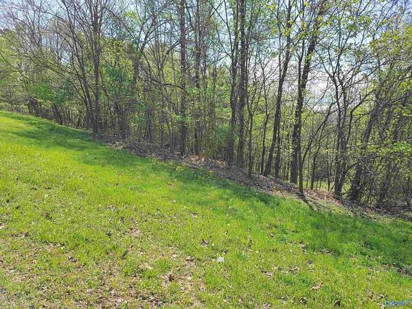 1.24 Acres of Land for Sale in Scottsboro, Alabama