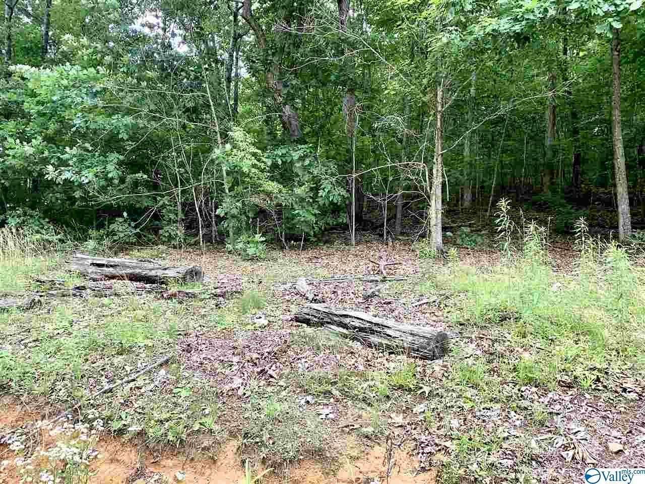 0.34 Acres of Residential Land for Sale in Fort Payne, Alabama
