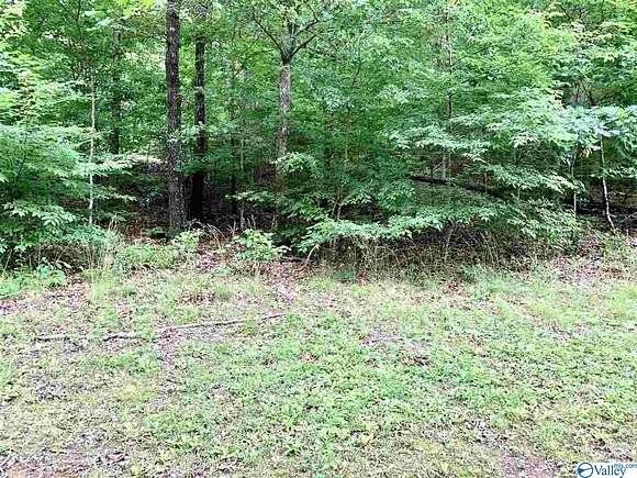 0.34 Acres of Residential Land for Sale in Fort Payne, Alabama