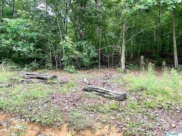 0.34 Acres of Residential Land for Sale in Fort Payne, Alabama