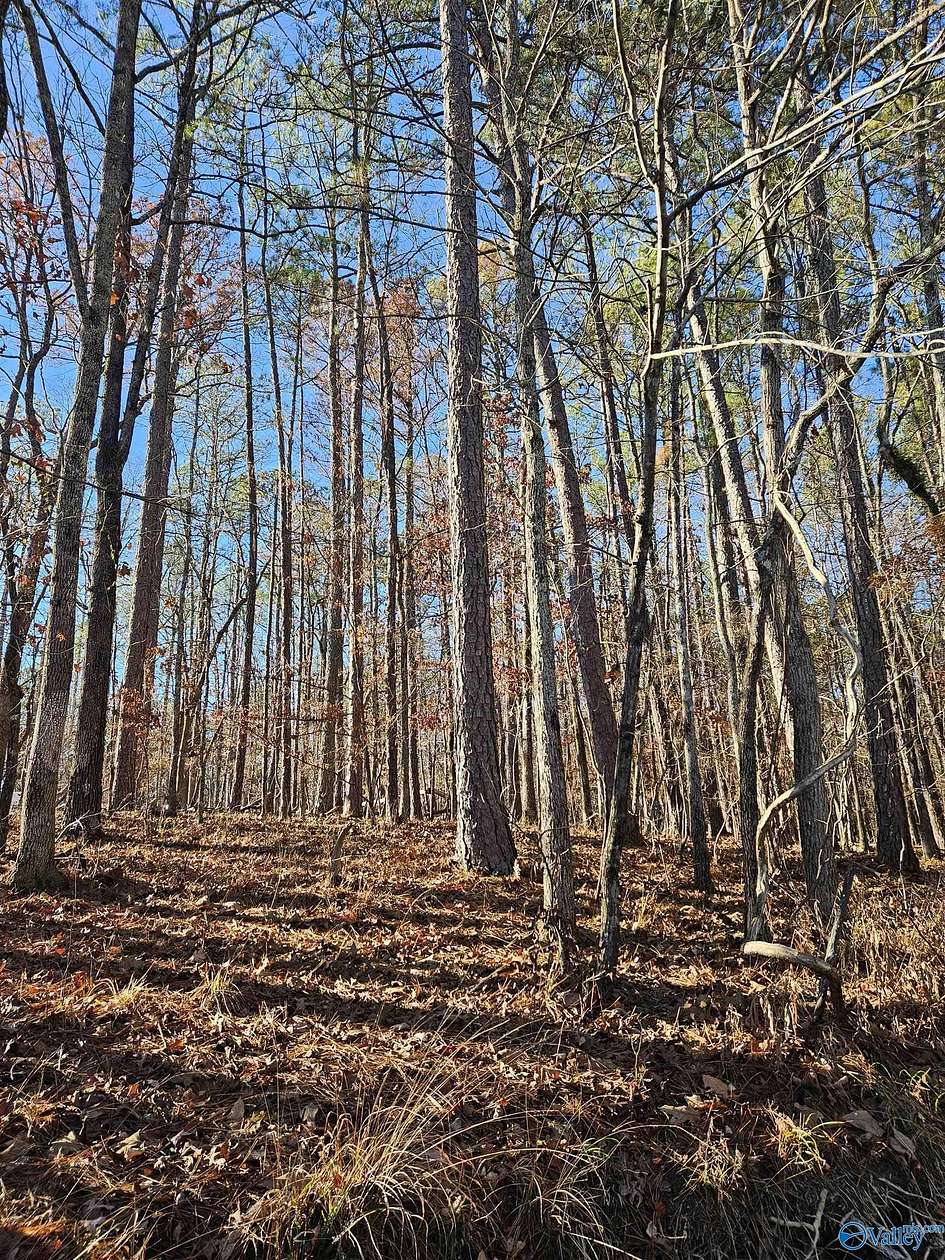 1.8 Acres of Residential Land for Sale in Cedar Bluff, Alabama