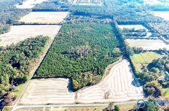 69 Acres of Recreational Land for Sale in Owens Cross Roads, Alabama