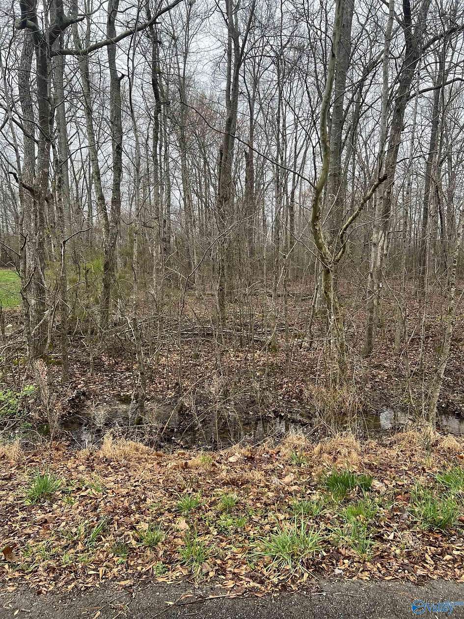 0.63 Acres of Residential Land for Sale in Toney, Alabama