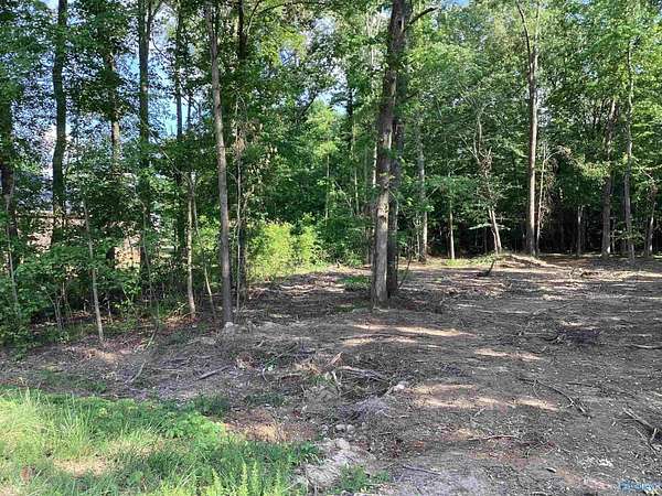 0.63 Acres of Residential Land for Sale in Toney, Alabama