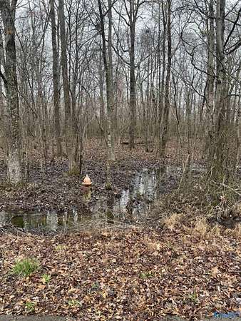 0.63 Acres of Residential Land for Sale in Toney, Alabama