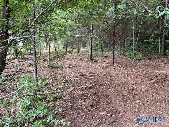 6.21 Acres of Land for Sale in Trinity, Alabama