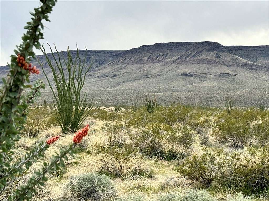 4.8 Acres of Residential Land for Sale in Yucca, Arizona