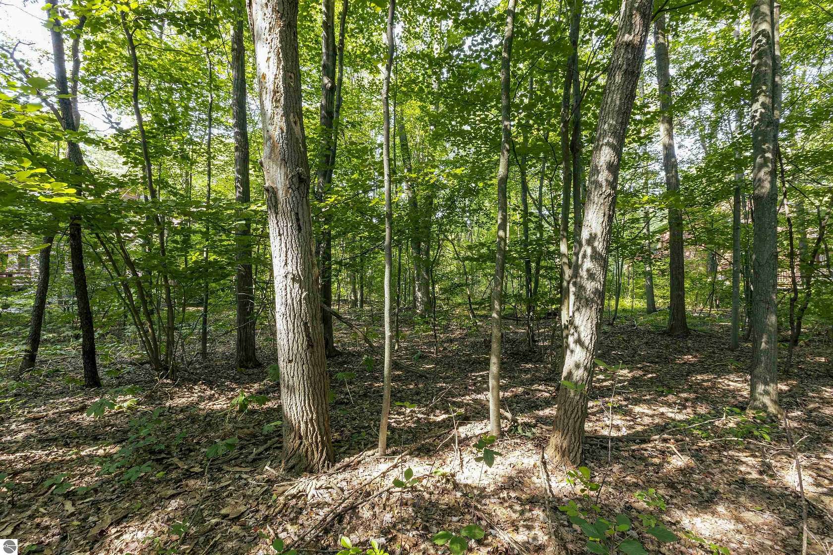 0.38 Acres of Residential Land for Sale in Midland, Michigan