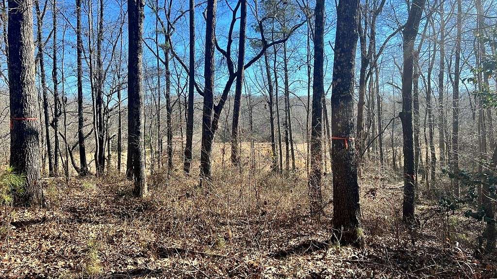 18.9 Acres of Recreational Land for Sale in Bowdon, Georgia