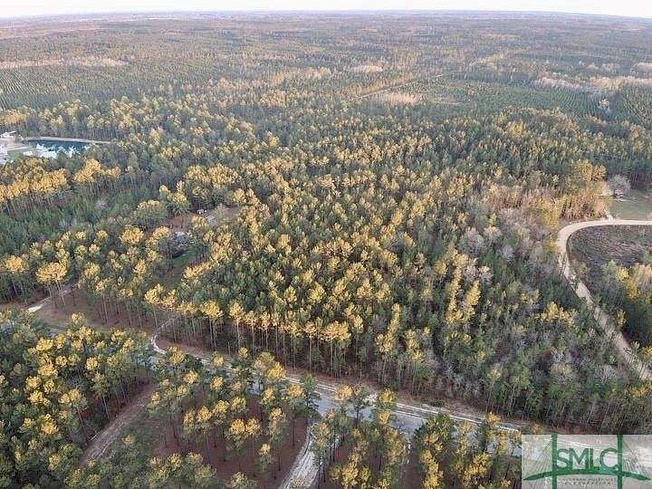 32.6 Acres of Land for Sale in Claxton, Georgia