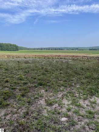 9.98 Acres of Agricultural Land for Sale in Reed City, Michigan