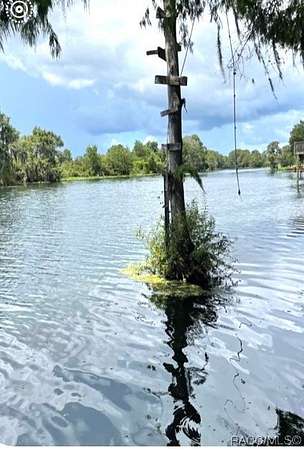 0.31 Acres of Land for Sale in Dunnellon, Florida