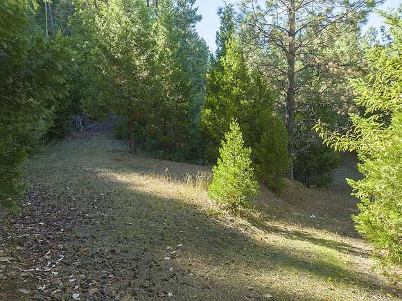 10.8 Acres of Land for Sale in Selma, Oregon