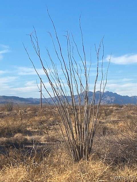 1 Acre of Land for Sale in Yucca, Arizona