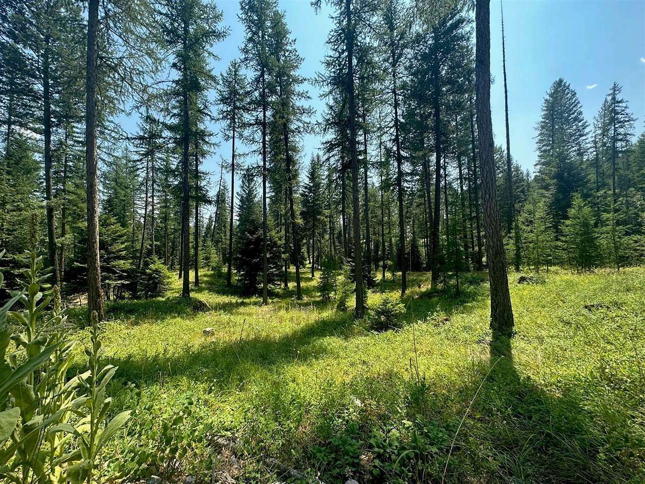 2.4 Acres of Land for Sale in Kalispell, Montana