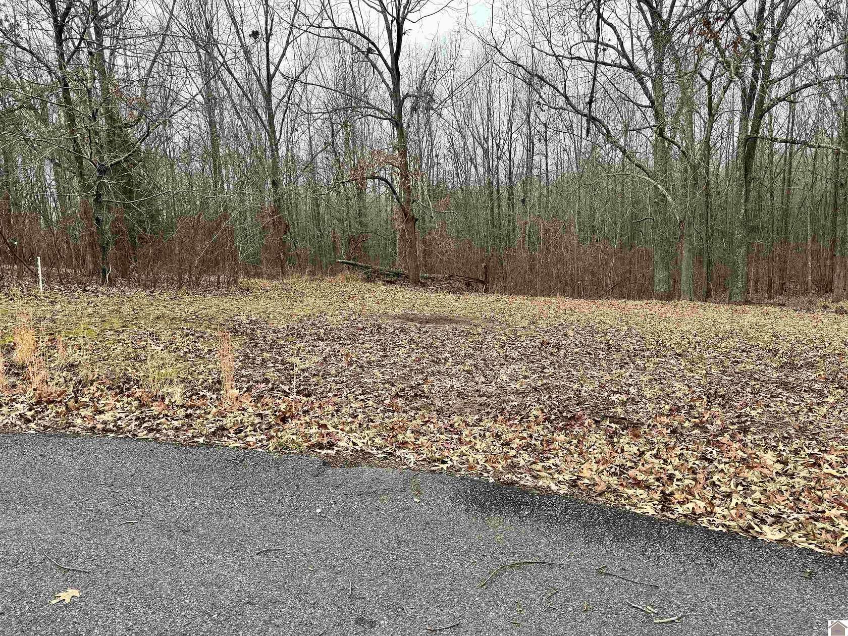 0.6 Acres of Residential Land for Sale in Gilbertsville, Kentucky