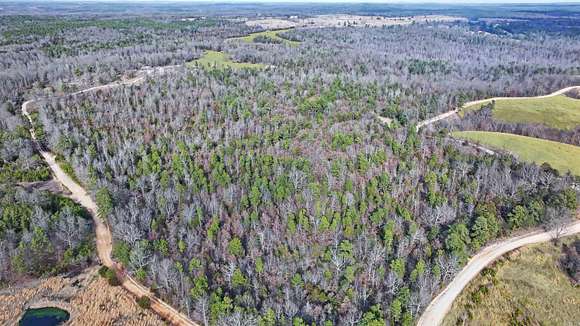 270 Acres of Recreational Land for Sale in Pineville, Arkansas
