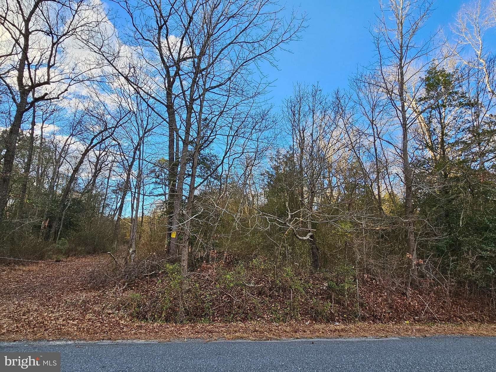 43.8 Acres of Recreational Land for Sale in Parsonsburg, Maryland