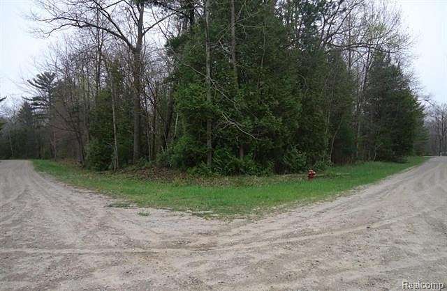 1.1 Acres of Residential Land for Sale in Oscoda, Michigan