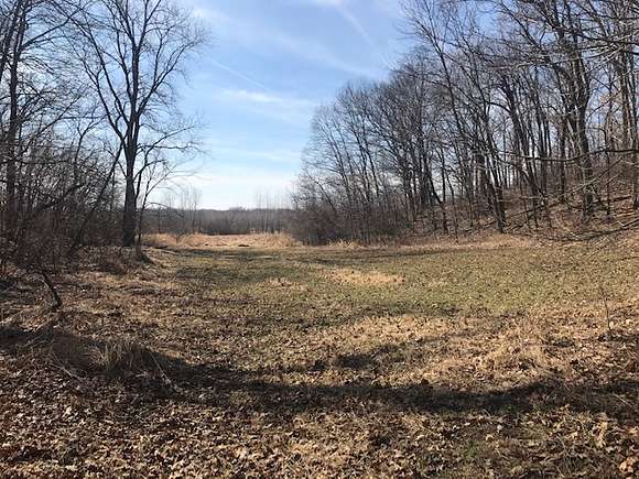 187 Acres of Land for Sale in Plymouth, Illinois