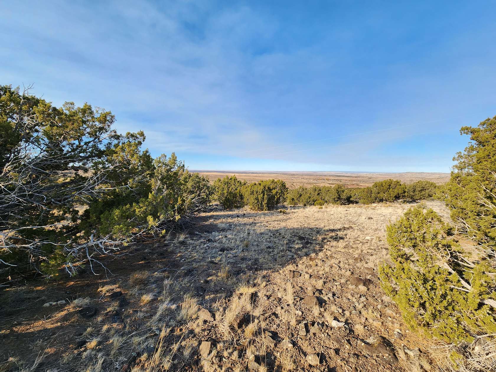 0.37 Acres of Land for Sale in Concho, Arizona