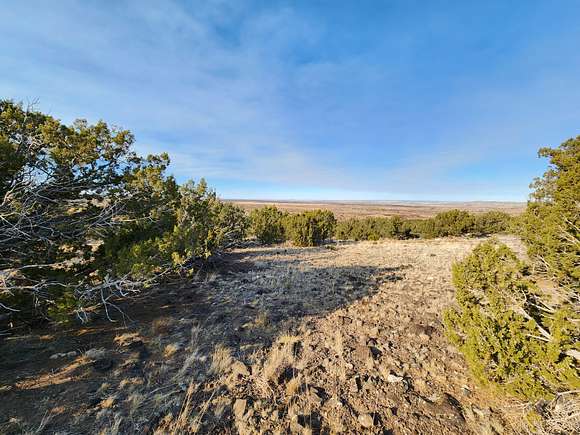 0.37 Acres of Land for Sale in Concho, Arizona