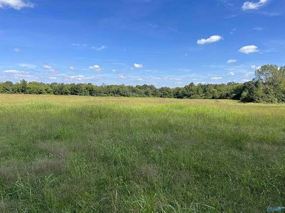 40.7 Acres of Recreational Land & Farm for Sale in Danville, Alabama