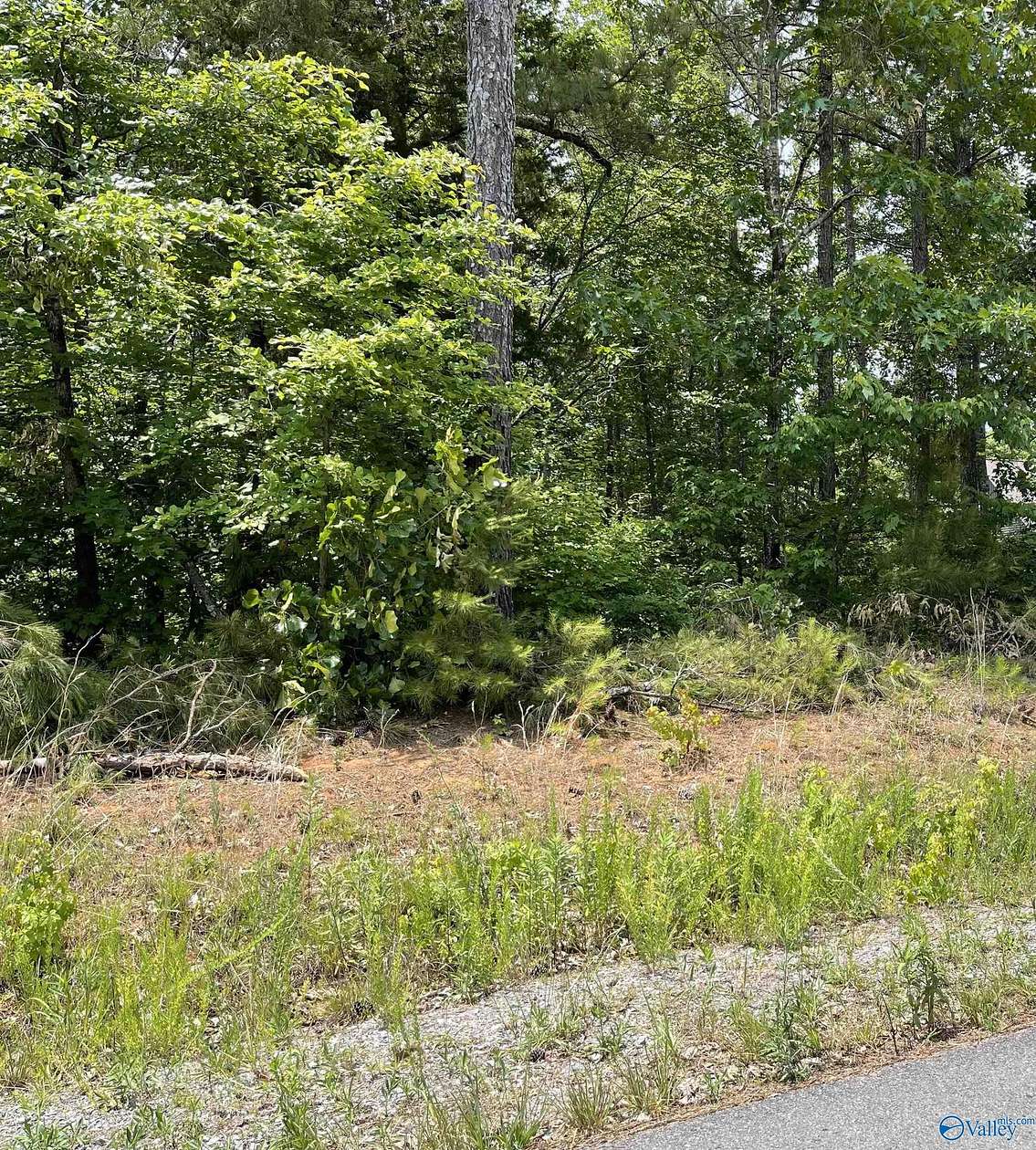 1.8 Acres of Residential Land for Sale in Grant, Alabama