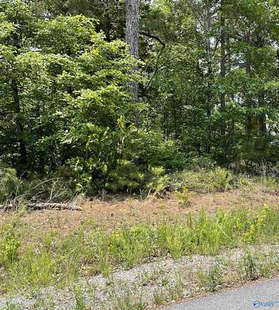 1.8 Acres of Residential Land for Sale in Grant, Alabama