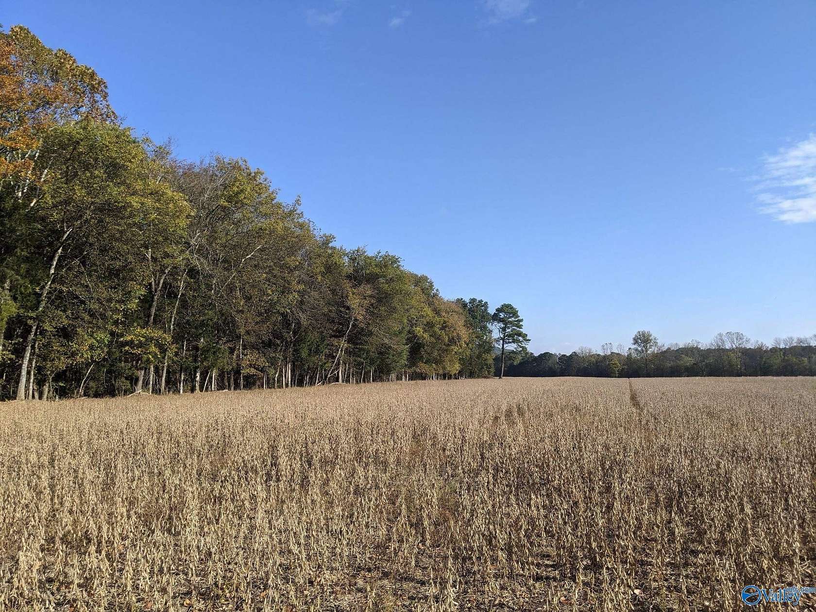 50.6 Acres of Land for Sale in Hollywood, Alabama