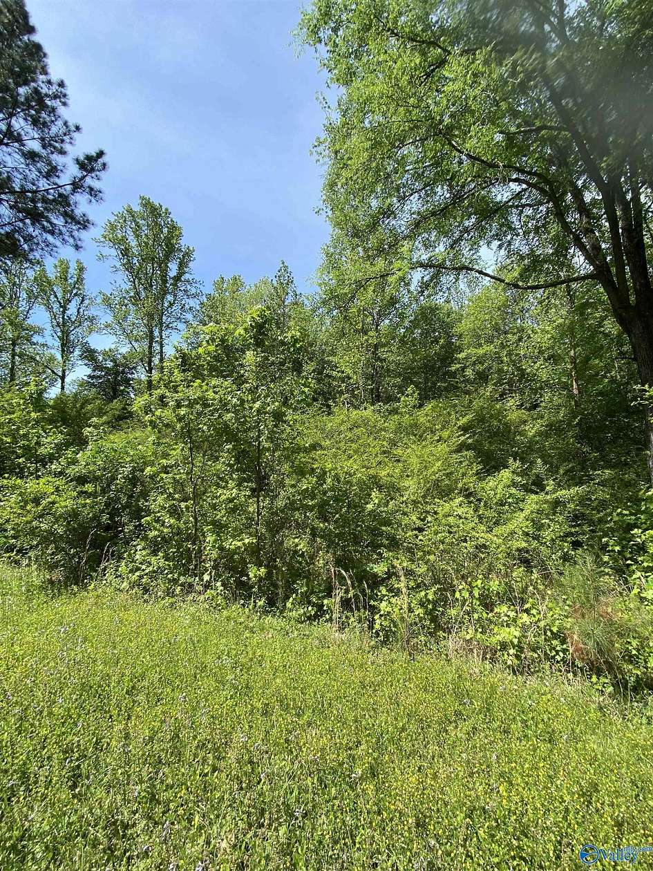 3 Acres of Residential Land for Sale in Hokes Bluff, Alabama