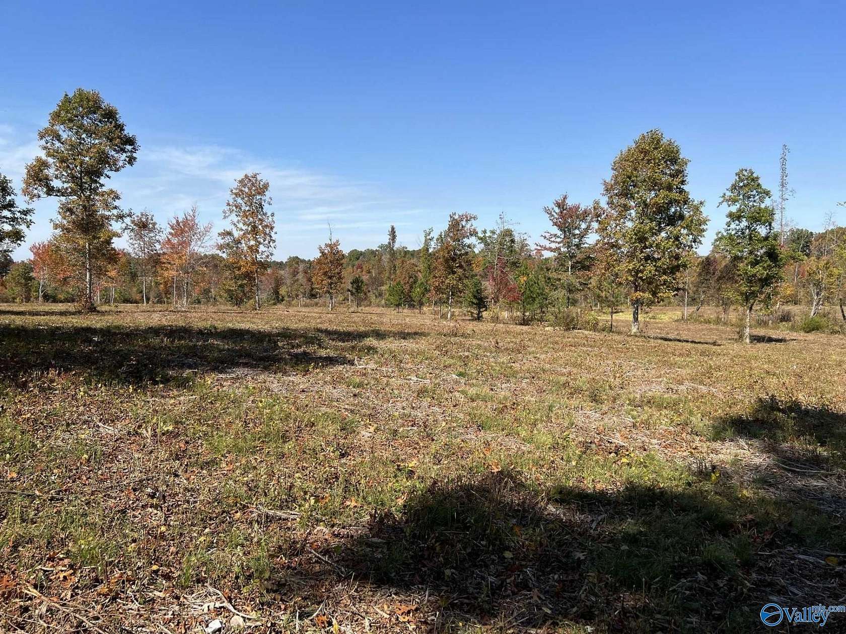 39 Acres of Land for Sale in Flat Rock, Alabama