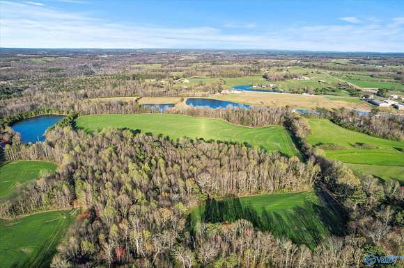 30 Acres of Land for Sale in Albertville, Alabama